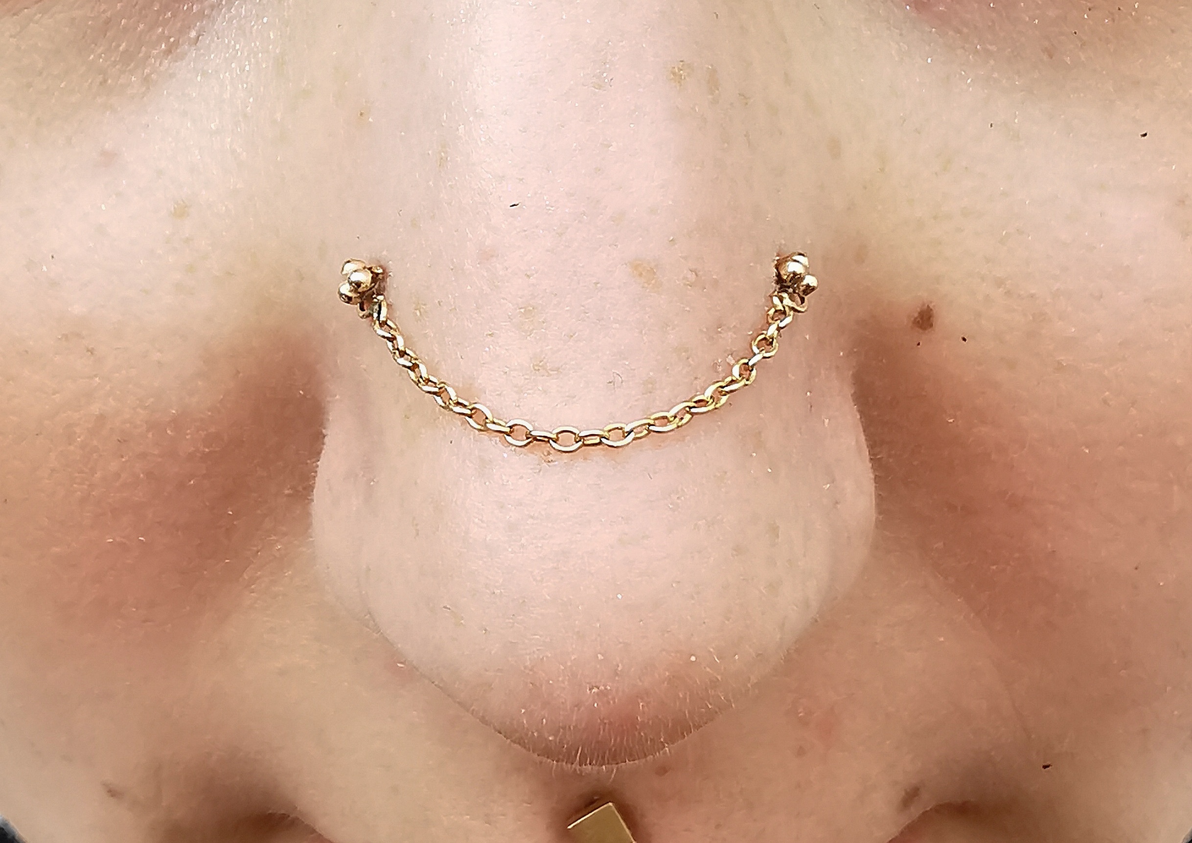 nose chain gold double nostril